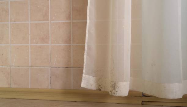 Best Residential Mold Inspection & Testing  in Geneva, IN