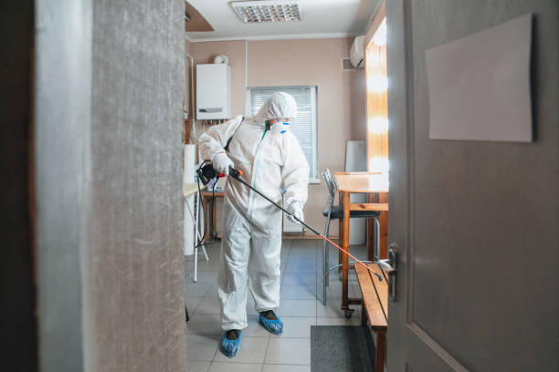 Best Mold Prevention Services  in Geneva, IN