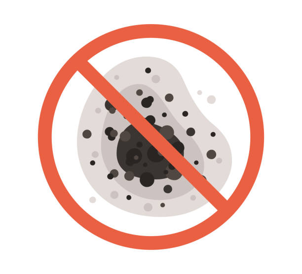 Best Black Mold Removal  in Geneva, IN