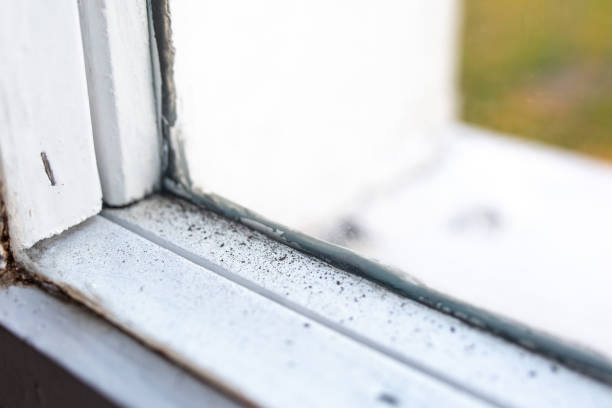 Best Real Estate Mold Inspection  in Geneva, IN
