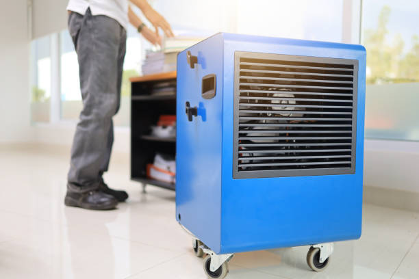 Best Dehumidification Services  in Geneva, IN