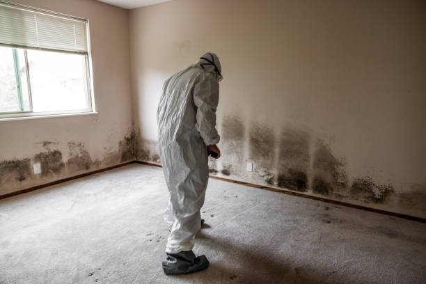Best Forensic Mold Investigation  in Geneva, IN
